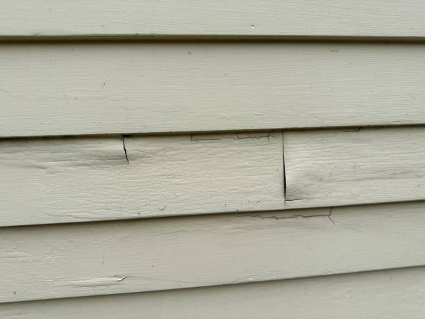 Trusted Sand Lake, MI Siding Installation Experts